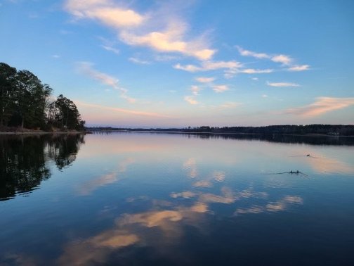 Horn Harbor Restaurant by null