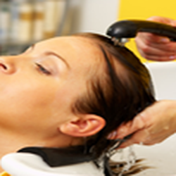 Sandy Kushner - Color Loft - Shampoo and set.