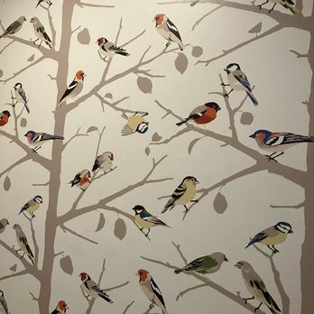 The Inn At Stonecliffe - Mind blowing gorgeous wallpaper in the summer house. - Venues & Event Spaces Near Me - Mackinac Island, Michigan The Inn At Stonecliffe - Mind blowing gorgeous wallpaper in the summer house. - Venues & Event Spaces Near Me - Mackinac Island, Michigan