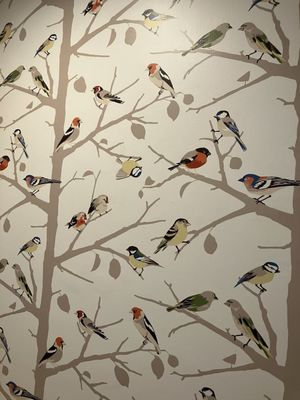 The Inn at Stonecliffe by null