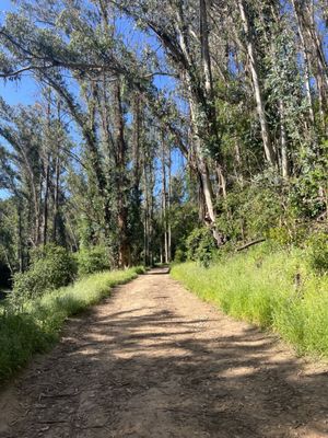 Westwood Hills Park by null