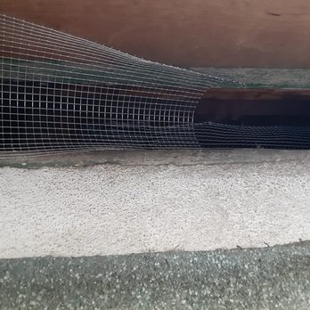 911 Attic Insulation - Oh no! Torn mesh the perfect culprit for Rodent entry - Insulation Installation Near Me 911 Attic Insulation - Oh no! Torn mesh the perfect culprit for Rodent entry - Insulation Installation Near Me
