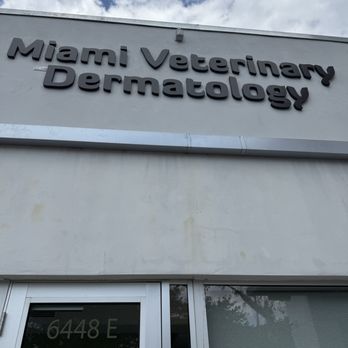 Miami Veterinary Dermatology - Veterinarians Near Me - South Miami, Florida Miami Veterinary Dermatology - Veterinarians Near Me - South Miami, Florida