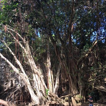 Twin Falls Trail - Hiking Near Me - Haiku, Hawaii