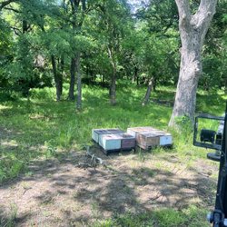 Bess for Ag Exemption- complete Apiary