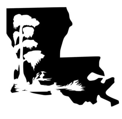 Bayou Driving Academy