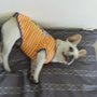 Best Pal Pet Service