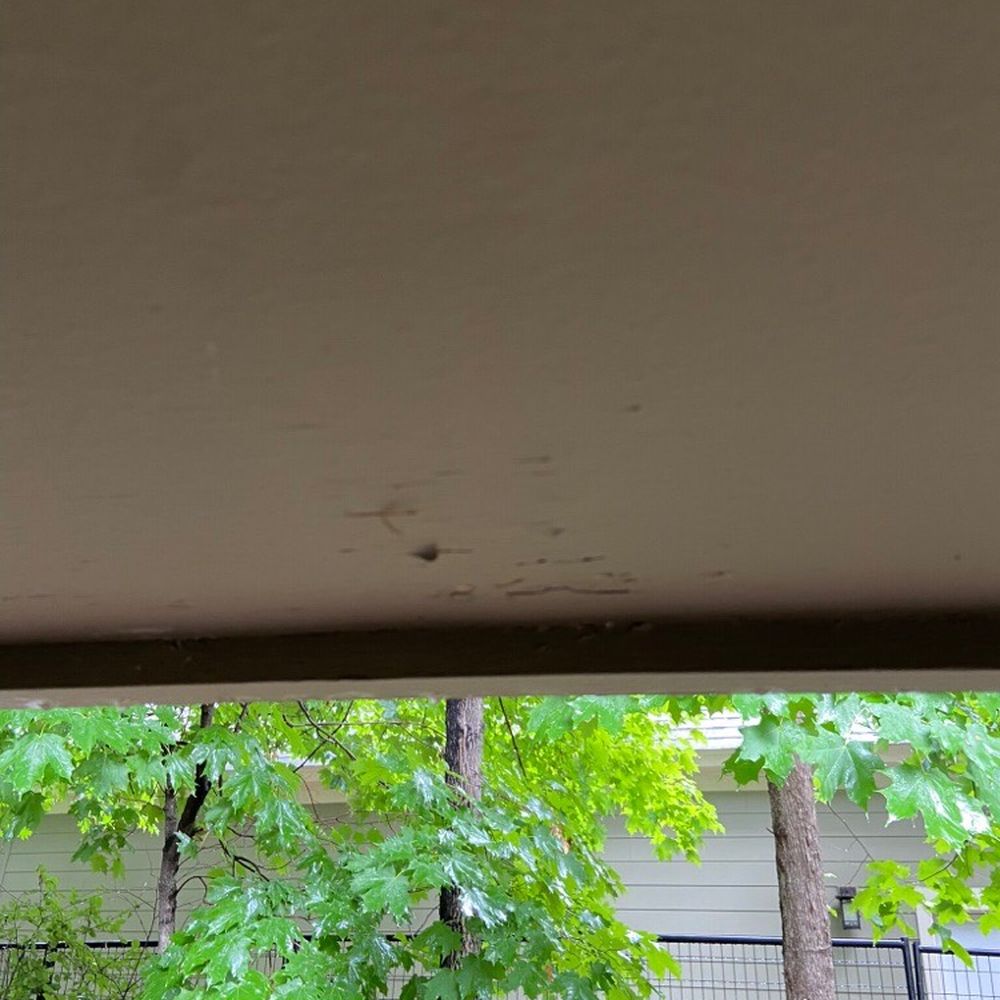 Webster's Quality Painting - Painters Near Me - Prior Lake, Minnesota Webster's Quality Painting - Painters Near Me - Prior Lake, Minnesota
