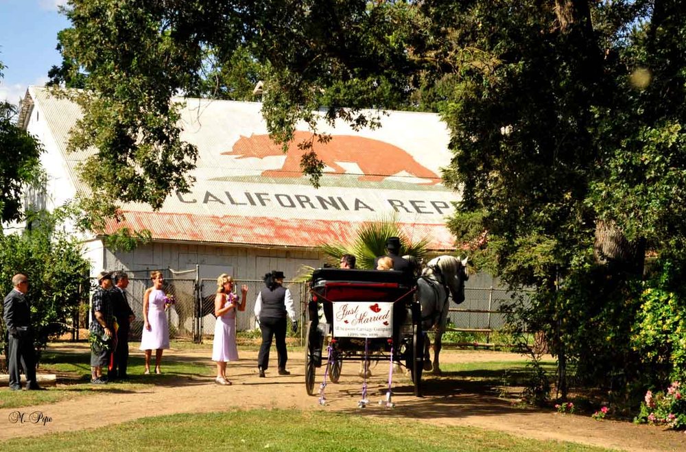 JACK TONE RANCH Updated September 2024 38 Photos 9649 N Jack Tone