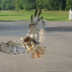 East Hartford Golf Center