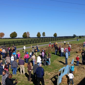 Bluegrass Railroad Museum - We stopped at this little pumpkin patch. - Museums Near Me - Versailles, Kentucky