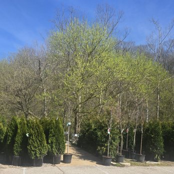 Greenscape Gardens - Hmmm which one to choose from?! - Nurseries & Gardening Near Me - Manchester, Missouri