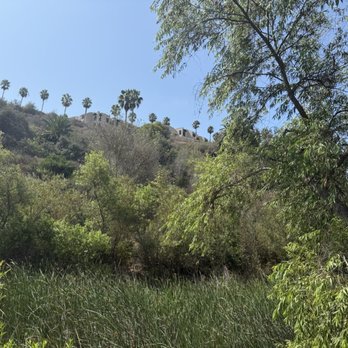 Bluff Trail Park - Parks Near Me - Playa del Rey, California Bluff Trail Park - Parks Near Me - Playa del Rey, California