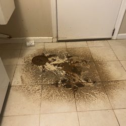 Haynes Plumbing & Heating