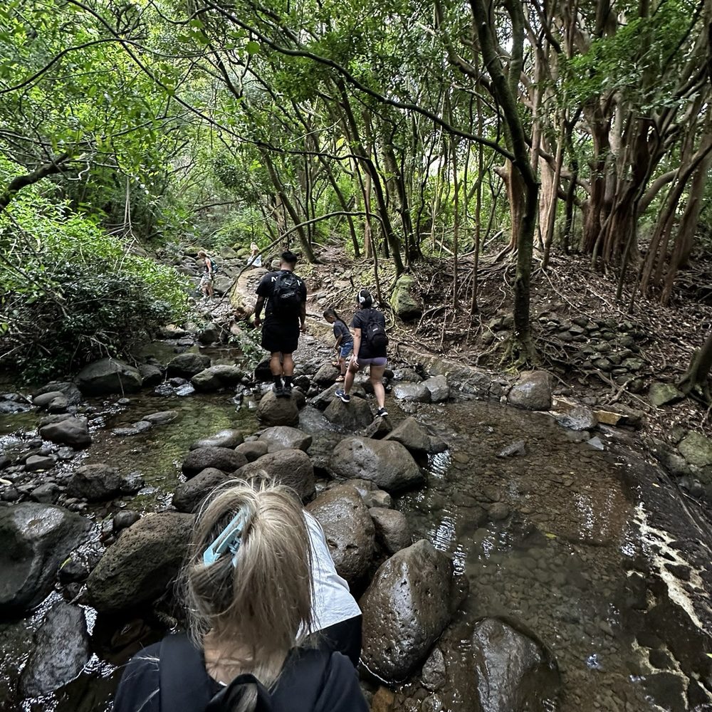 Lulumahu Falls - Hiking Near Me - Honolulu, Hawaii Lulumahu Falls - Hiking Near Me - Honolulu, Hawaii