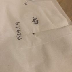 Docklands Lodge - Bed bug