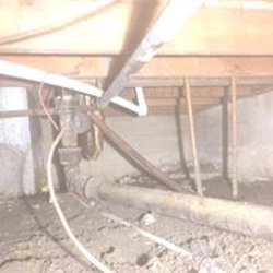 A1 Family Affordable Services