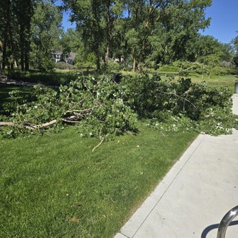 Hemlock Tree Service - Tree Services Near Me - Sioux City, Iowa Hemlock Tree Service - Tree Services Near Me - Sioux City, Iowa
