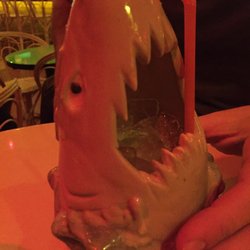 Oh No! Lulu - Trago Shark