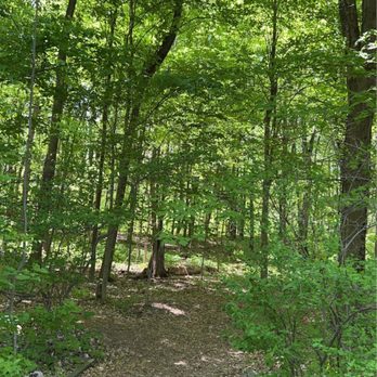Prairie Wolf Park - Kids Activities Near Me - Caledonia, Michigan Prairie Wolf Park - Kids Activities Near Me - Caledonia, Michigan