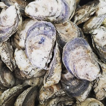 Seafood Markets - 4916 Rivers Ave 