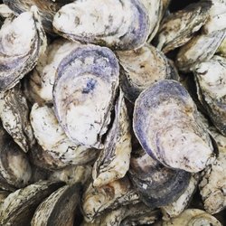 Welch's Seafood