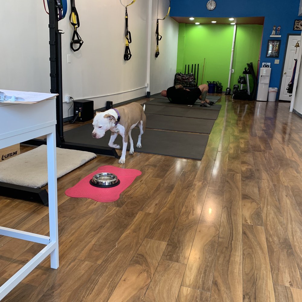 Speakeasy of Strength - Trainers Near Me - Brooklyn, New York Speakeasy of Strength - Trainers Near Me - Brooklyn, New York