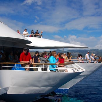Majestic by Atlantis Cruises - two decks up front, plus one observation deck in the back - Boat Tours Near Me - Honolulu, Hawaii Majestic by Atlantis Cruises - two decks up front, plus one observation deck in the back - Boat Tours Near Me - Honolulu, Hawaii
