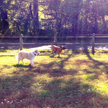 Azalea Road Dog Park - Great place for pooches - Dog Parks Near Me - Asheville, North Carolina Azalea Road Dog Park - Great place for pooches - Dog Parks Near Me - Asheville, North Carolina