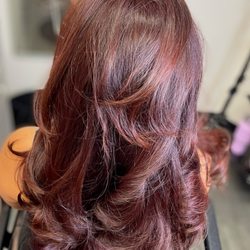 Tease Me Hair Studio - Deep Red Dimension