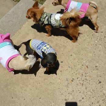 Hope Veterinary Clinic - Veterinarians Near Me - Amarillo, Texas Hope Veterinary Clinic - Veterinarians Near Me - Amarillo, Texas