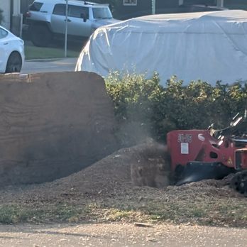Carrillo's Stump Grinding - during work - Tree Services Near Me Carrillo's Stump Grinding - during work - Tree Services Near Me