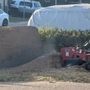 Carrillo's Stump Grinding