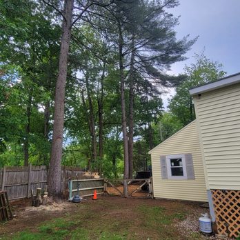 All Tree - Tree Services Near Me - Jaffrey, New Hampshire