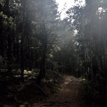 Lower Maxwell Falls Trail Head - Hiking Near Me - Evergreen, Colorado