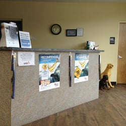 Morris Plains Automotive - Reception desk