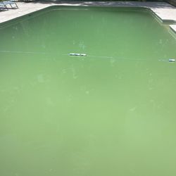 Jeff's Pool & Spa Service - Green pool after tech left and this is how my guest found it
