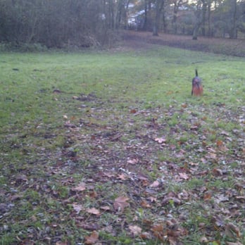 Stellinger Schweiz - Dog Parks Near Me - Hamburg, HH