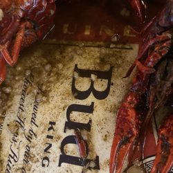 Chasin Tailz Crawfish