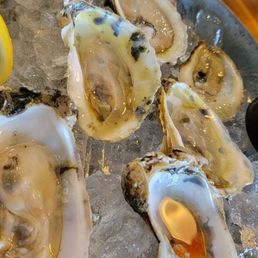 Oysters-2 local, 2 blue point, 2 Chincoteague Oysters-2 local, 2 blue point, 2 Chincoteague