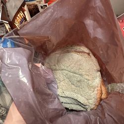 Angels Of Serenity Home Care - Moldy bread