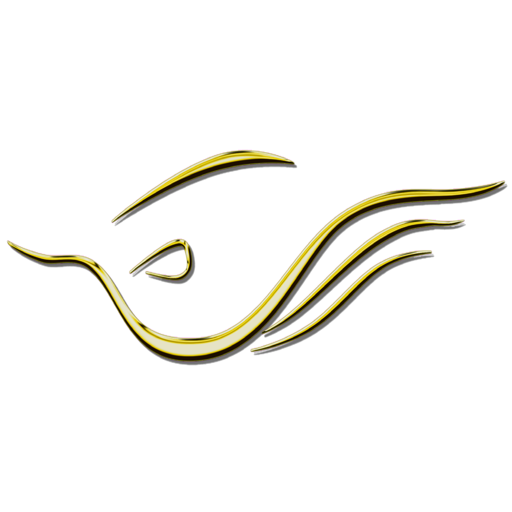 Kaydelon Corporation - veterans service organization in Catonsville, MD