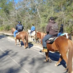 crazy 8 ranch - Heading out from the ranch to the trail in the Apalachicola Forrest