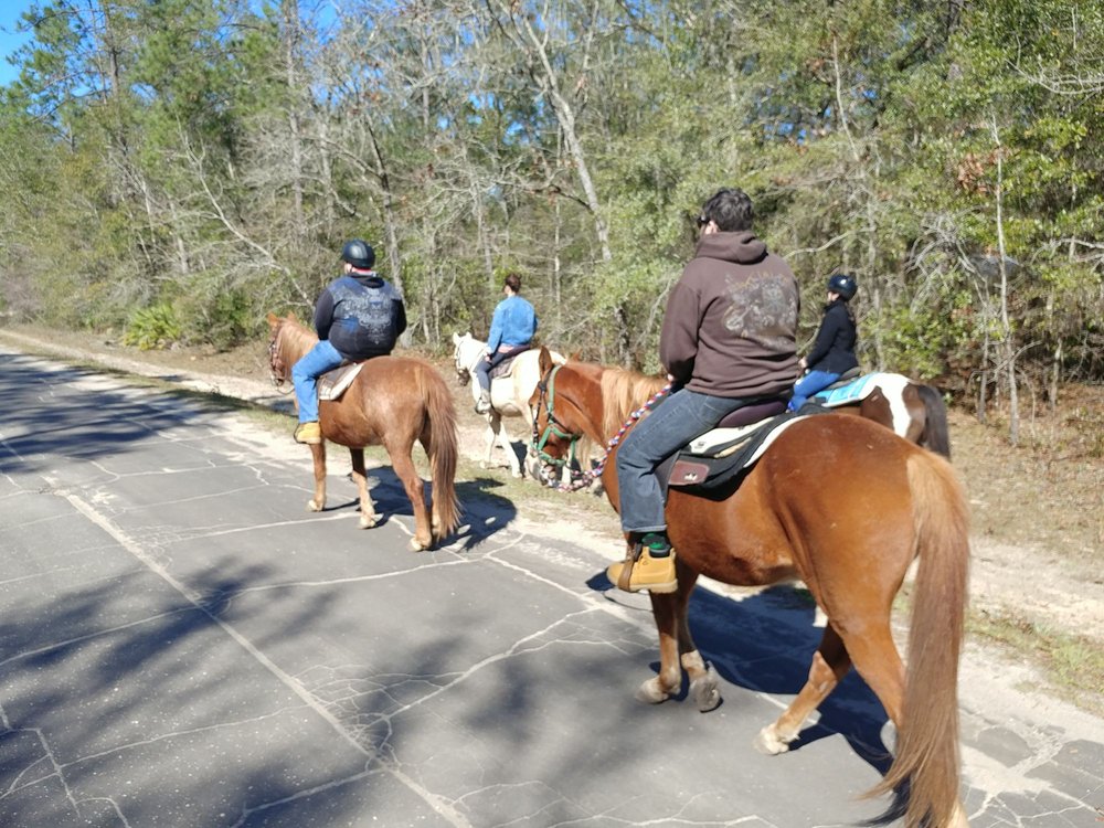 CRAZY 8 RANCH 812 Sir Richard Rd, Tallahassee, Florida Horseback