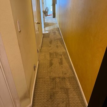 Allo Boris Carpet Cleaning - Carpet Cleaning Near Me Allo Boris Carpet Cleaning - Carpet Cleaning Near Me