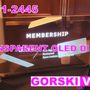 Photo of GorskiVision