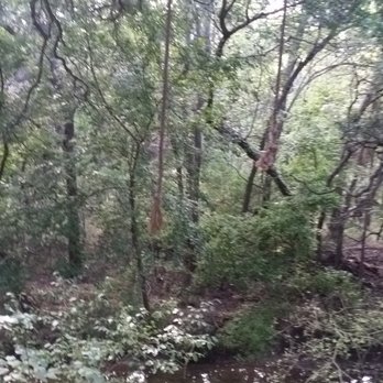 Gracywoods Park - Sweet place off the main trai. Love finding little places like the, peaceful. - Parks Near Me - Austin, Texas Gracywoods Park - Sweet place off the main trai. Love finding little places like the, peaceful. - Parks Near Me - Austin, Texas