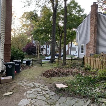 Maksanty Tree LLC - Yard looking fresh and clean ! - Tree Services Near Me Maksanty Tree LLC - Yard looking fresh and clean ! - Tree Services Near Me