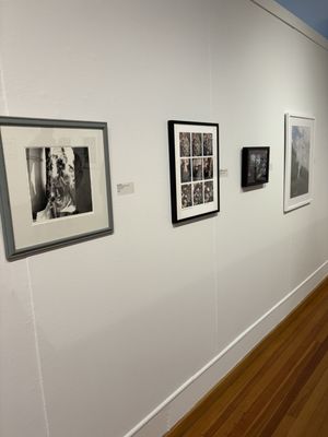 Woodstock Artists Association & Museum by null