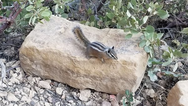 Sunset Campground by null